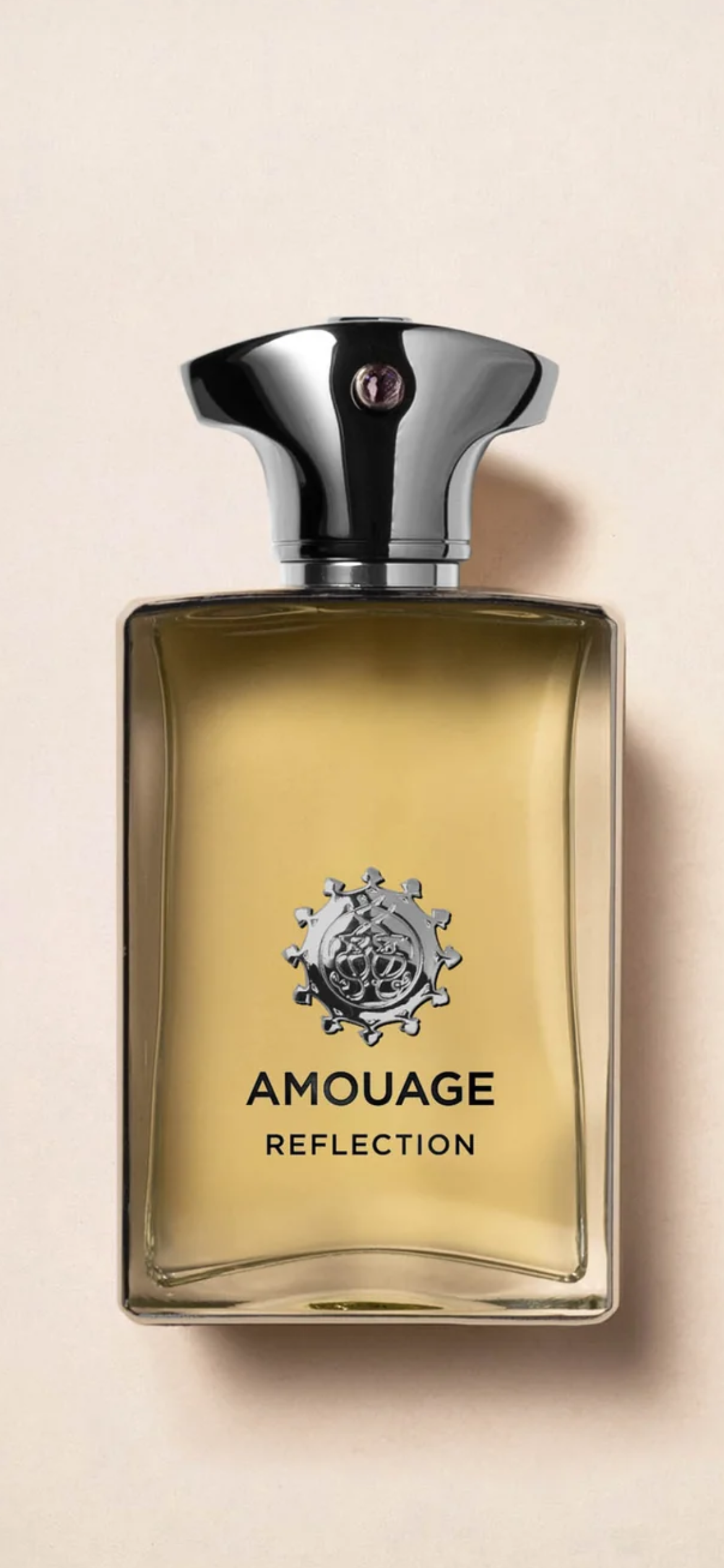Amouage Reflection for Men EDP 100 ml